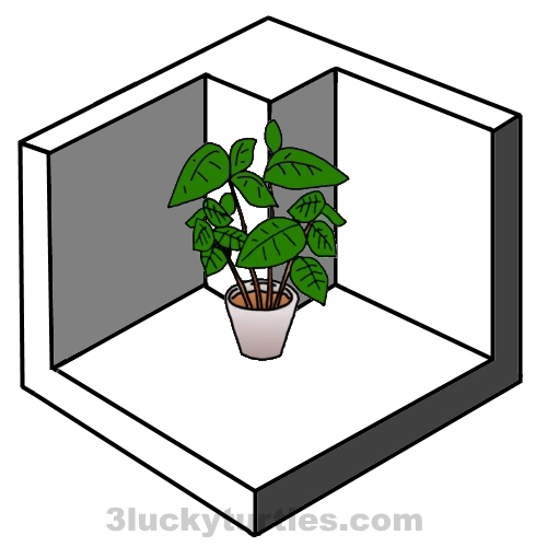 Image for post A pot of plants in a protruding corner of the house.